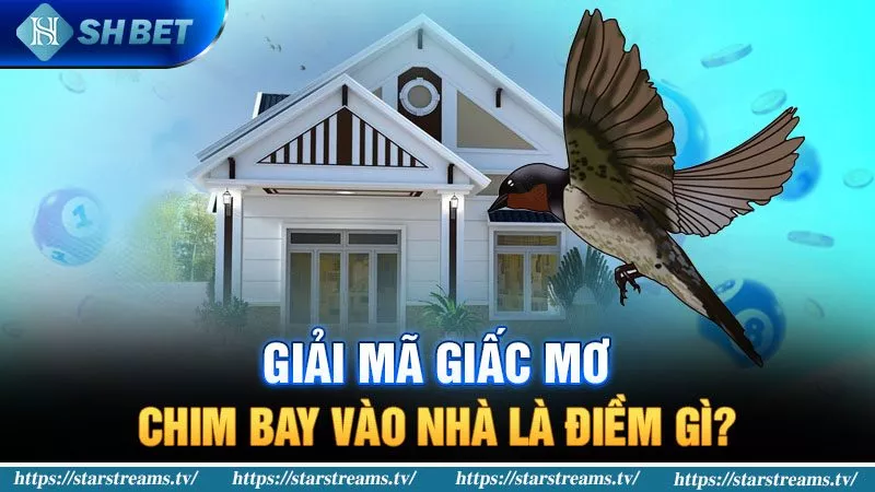 Banner www.khoca.com.vn